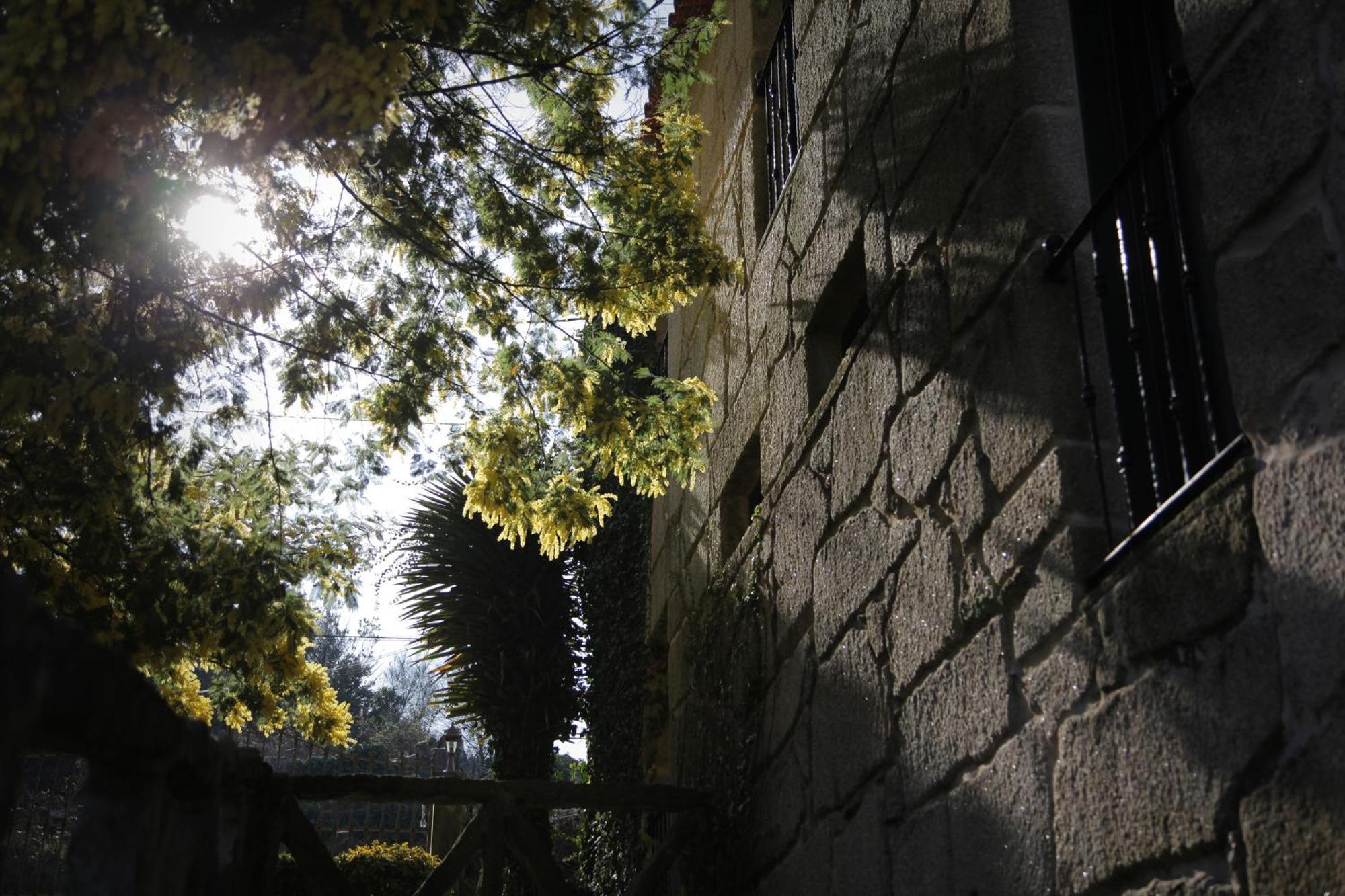Casa Do Ouro Casa de hóspedes Aldán Exterior foto